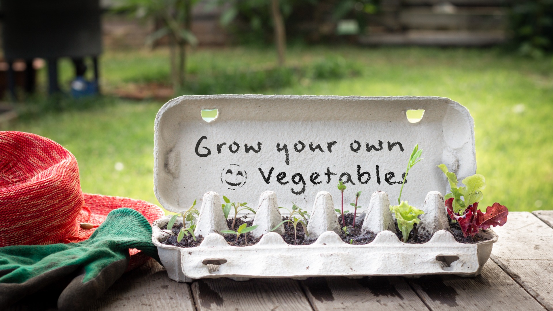 Growing your own fruit and vegetables ensures they are nutrient dense is a great move towards improving your plant nutrition for cyclists
