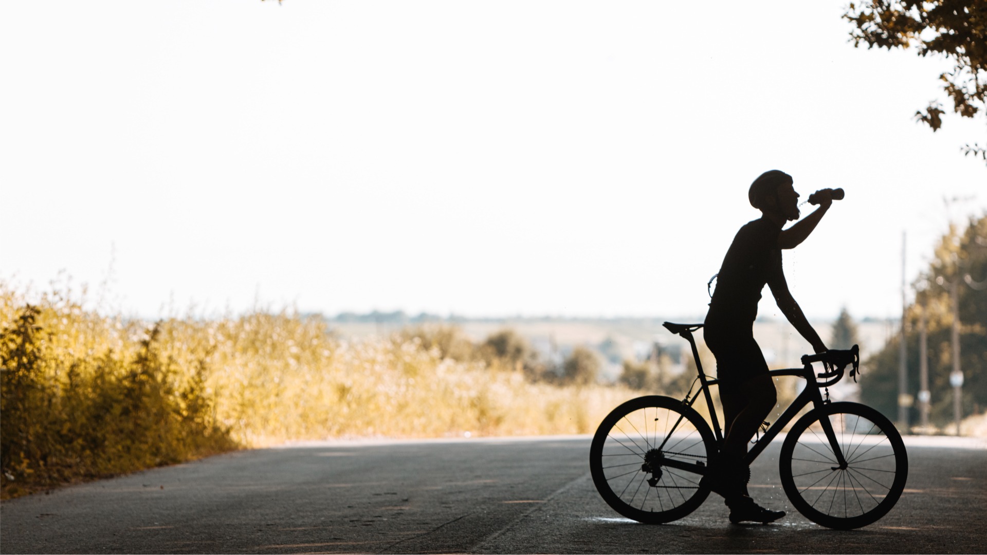 How to train and race in the heat