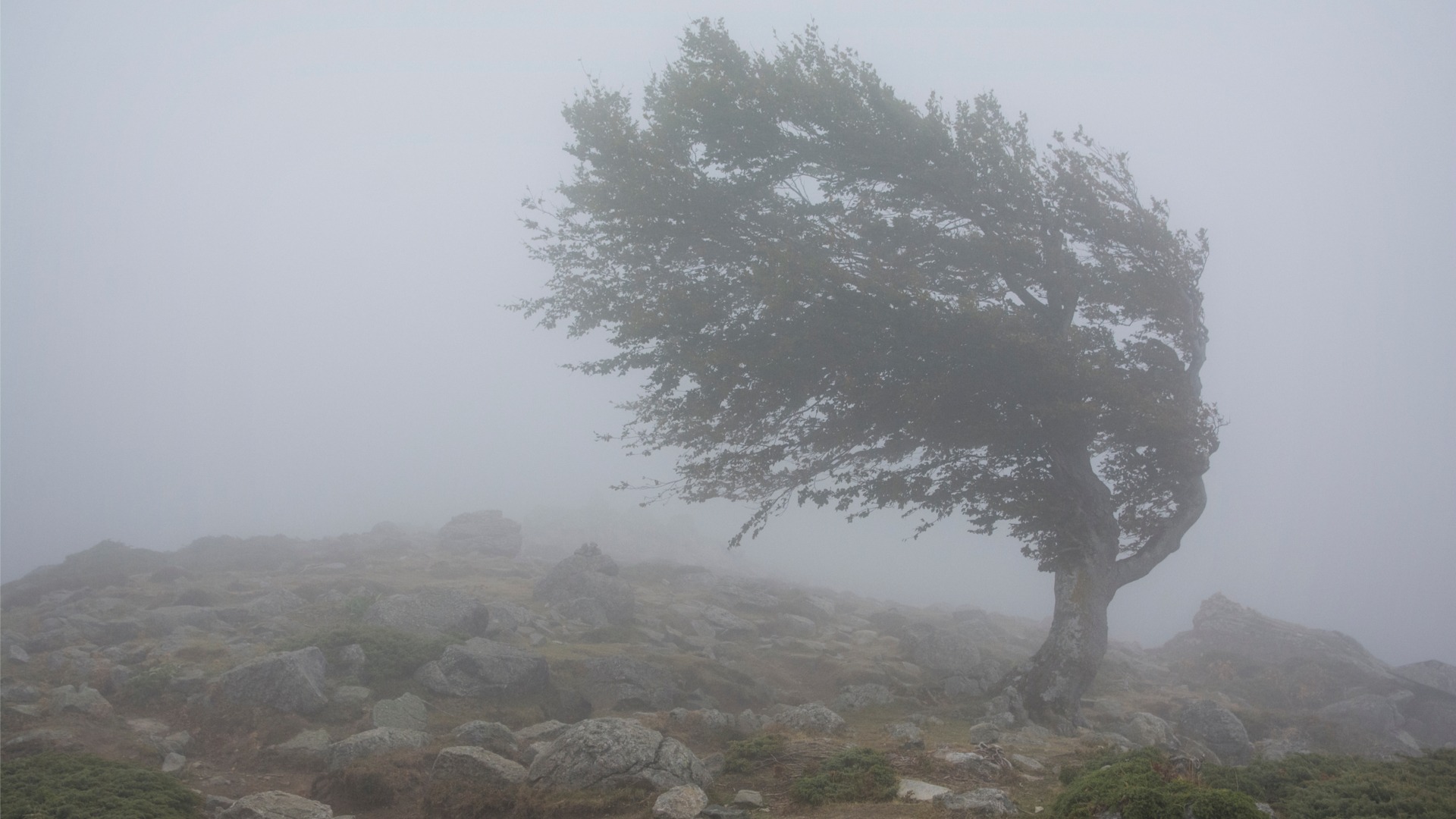 Cycling in the wind is character building 