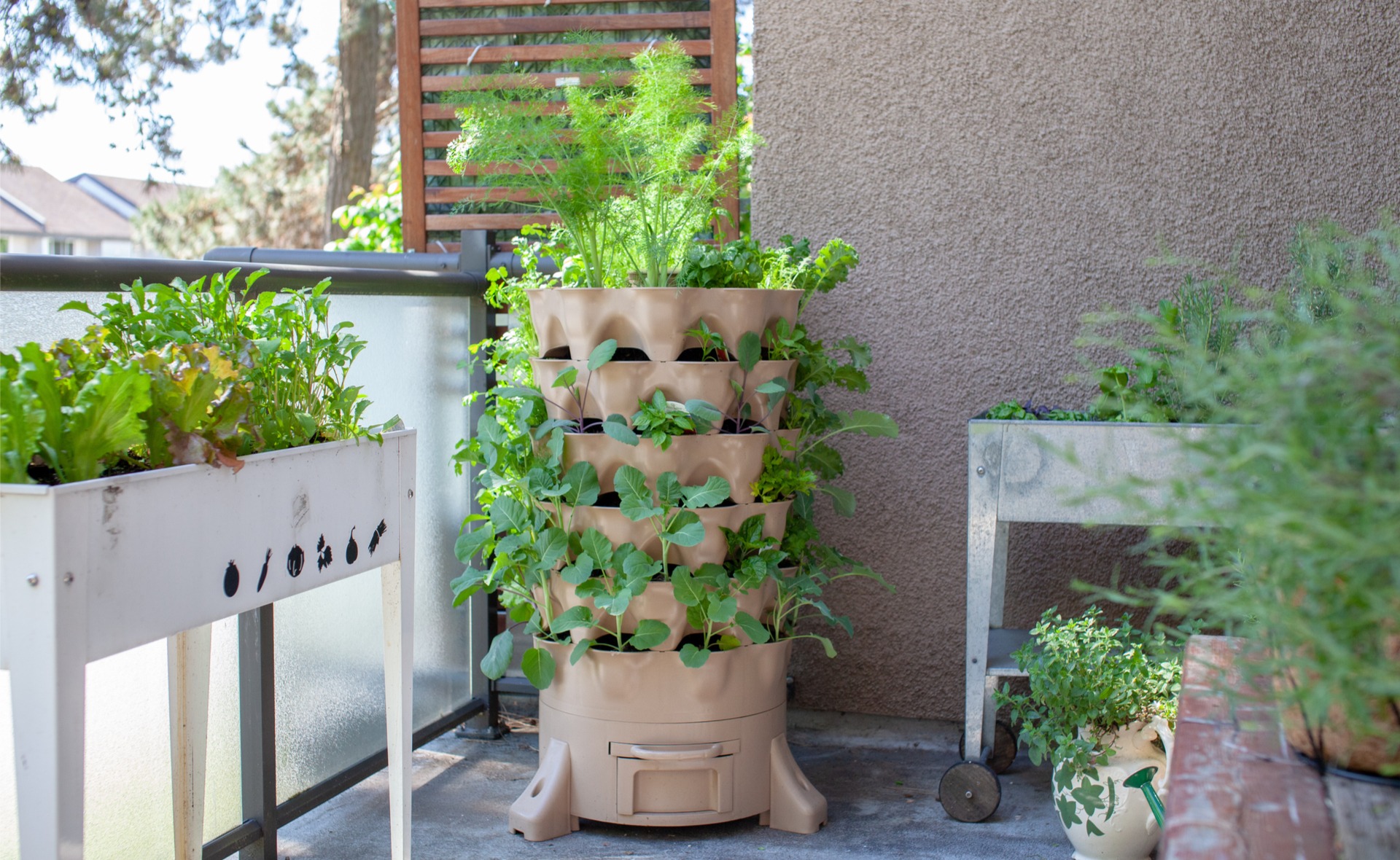 Indoor grow setups can reverse any issues with foods that kill cycling performance